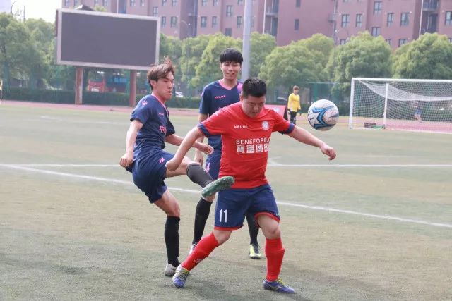 里斯闪耀全场，豪取31分14板彰显实力！